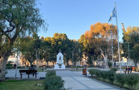 Poda en Plaza San Martín